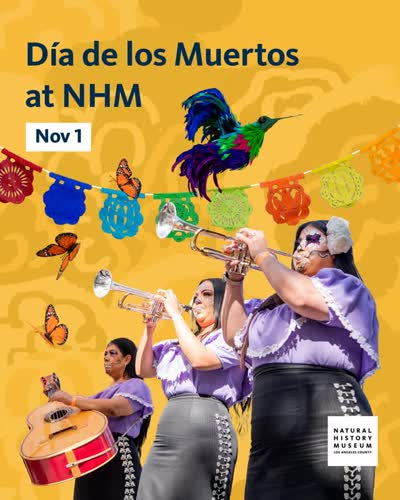 Día de los Muertos Celebration
