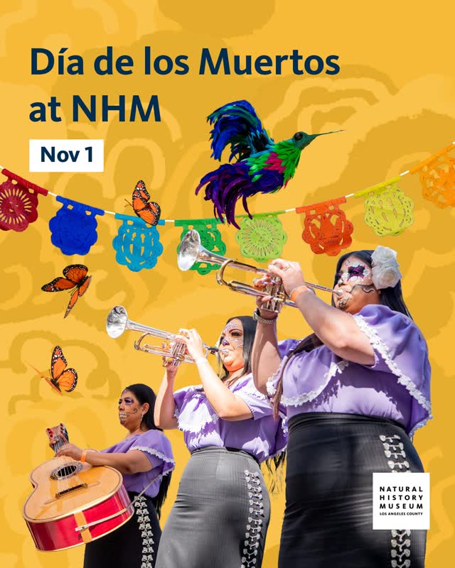 Día de los Muertos Celebration