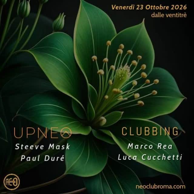 UPNEO CLUBBING