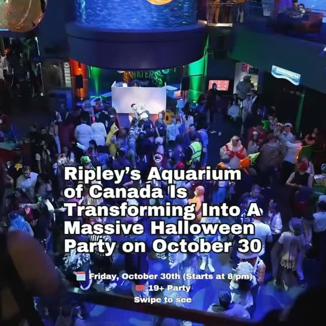 Dark Waters Halloween Party