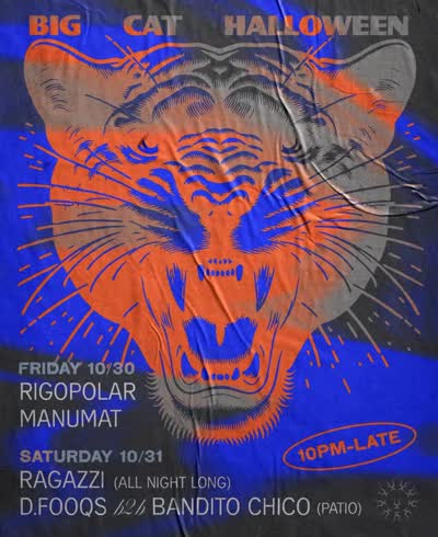 BIG CAT HALLOWEEN