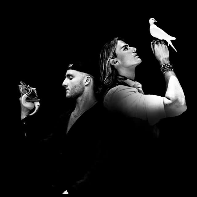 VOILÀ head to O2 Shepherds Bush Empire