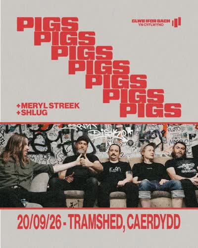 SIOE NEWYDD | NEW SHOW: Pigs Pigs Pigs Pigs Pigs Pigs Pigs