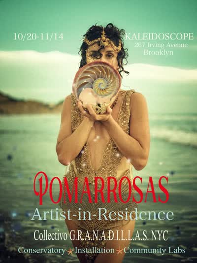 POMARROSAS Artist-in-Residence