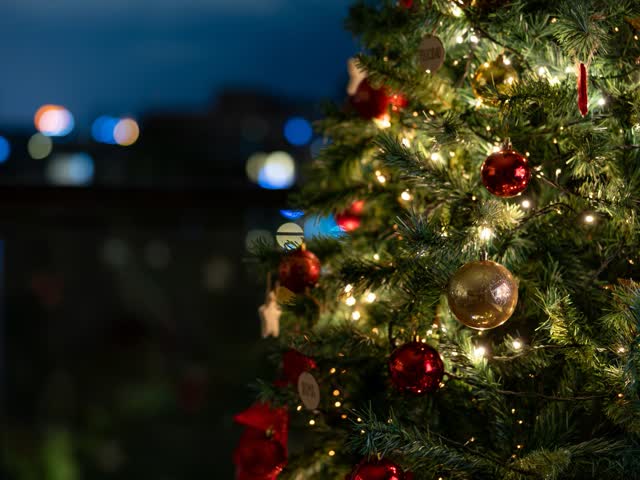 Leopold Square Christmas tree lights switch-on event