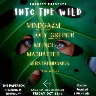 INTO THE WILD!