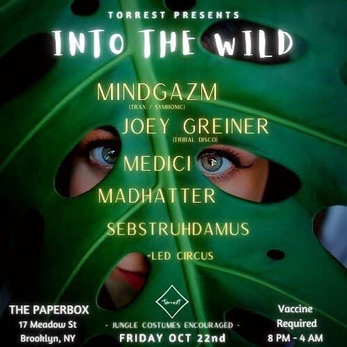 INTO THE WILD!